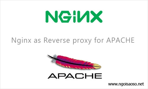 nginx apache proxy